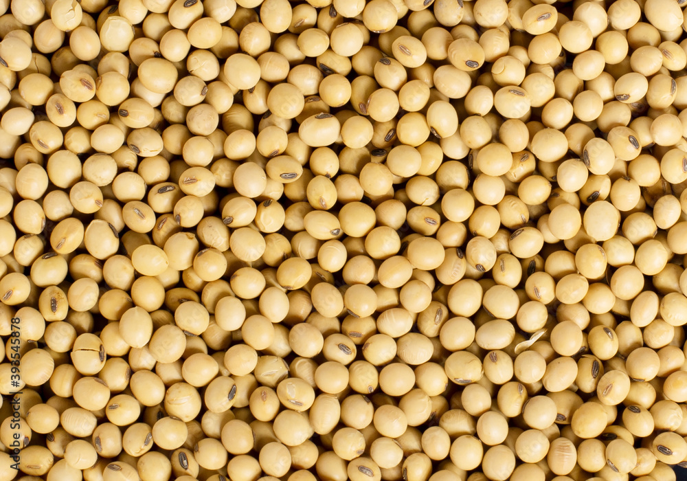 Soybean organic isolated on background. Soybean organic isolated on background.