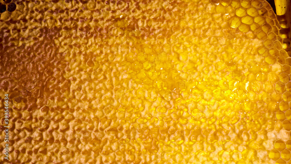 bee honey in hexagonal honeycombs filled with Golden nectar. Honeycomb summer composition, consisting of drops of natural honey, dripping on the wax frame of the bee. close up