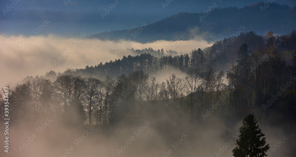 Herbstliche Stimmung - Wald im Nebel