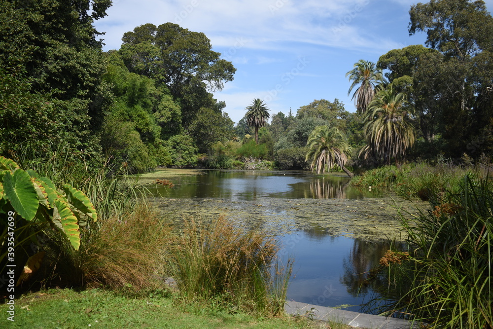 Botanic garden in Melbourne