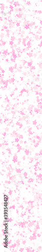 Pink and white flower wallpaper background