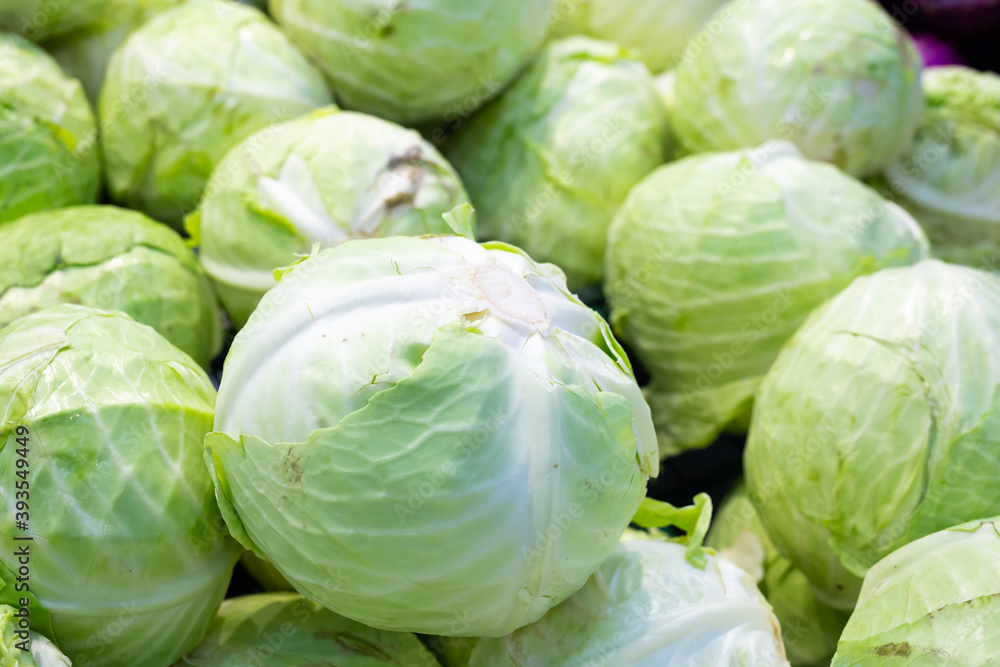 heads ripe cabbage texture background heads ripe cabbage texture background