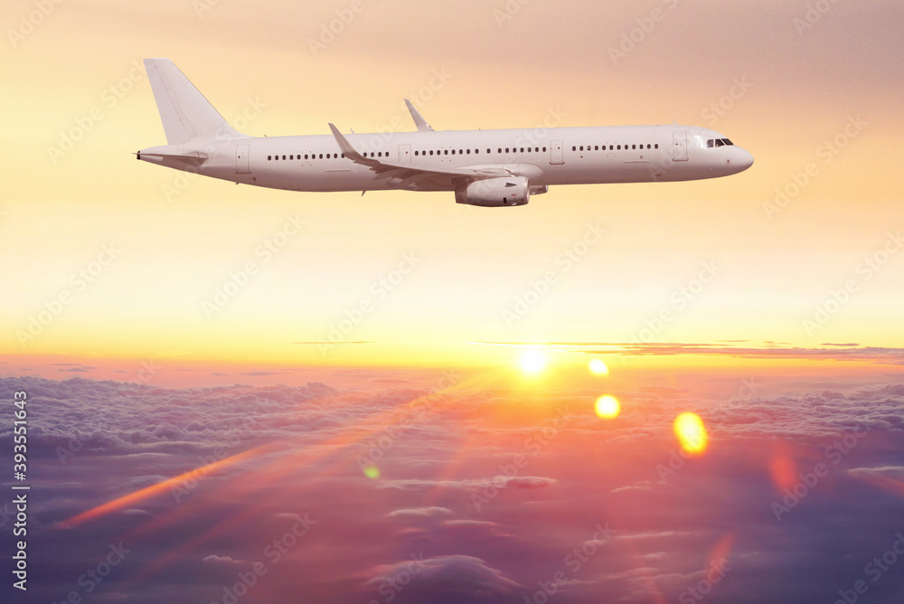 Fototapeta premium 飛行機