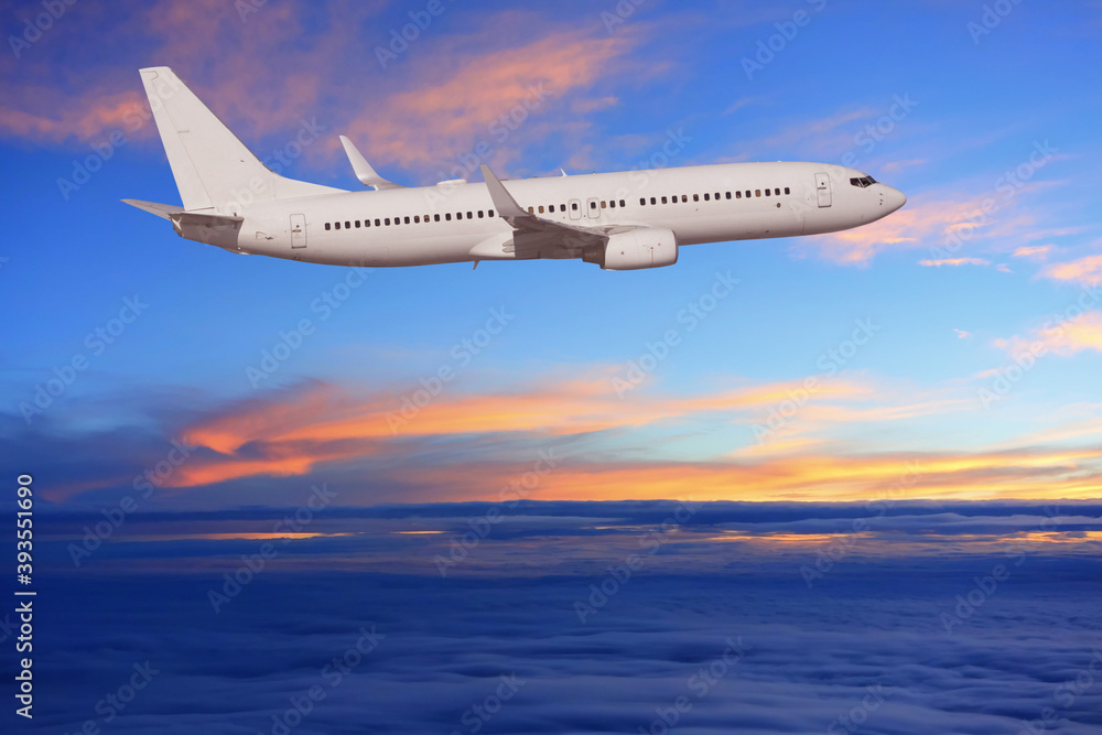 Obraz premium 飛行機