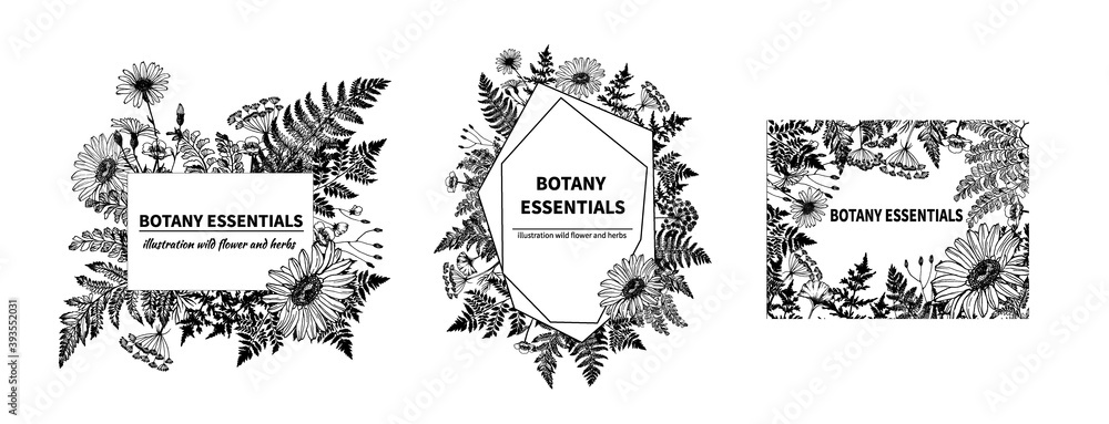 Set of vector frames of hand-drawn Botanical plants, wild herbs and flowers, forest plants, herbs and weeds, medical medicinal herbs. Vintage flyer, monochrome frame, business card, design template.