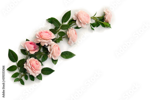 Fototapeta Naklejka Na Ścianę i Meble -  Flowers pink roses with leaves on a white background with space for text. Top view, flat lay