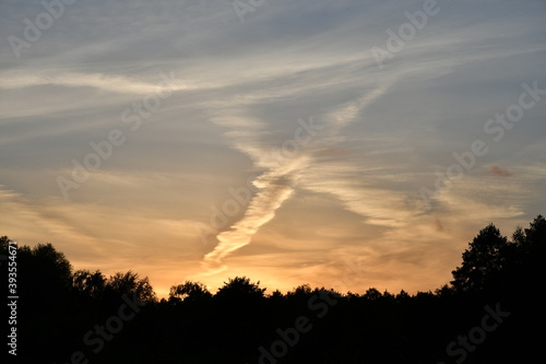 View of a dramatic colorful summer sky full of clouds, plane trails, sun rays and fog creating unusual, beautiful effects seen above a dense forest or moor on a sunny afternoon in Poland