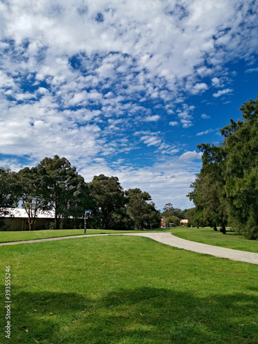 Wallpaper Mural Beautiful view of a park with green grass, tall trees and paved trail for walking and cycling, Reid Park, Parramatta Cycleway, Rydalmere, Sydney, New South Wales, Australia

 Torontodigital.ca