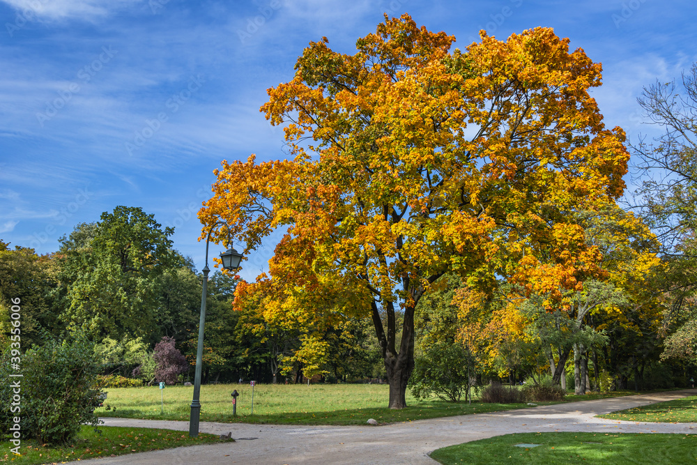 Naklejka premium Autumn in Lazienki - Royal Baths Park in Warsaw, capital city of Poland
