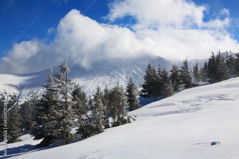 Hoverla Mountain in winter.