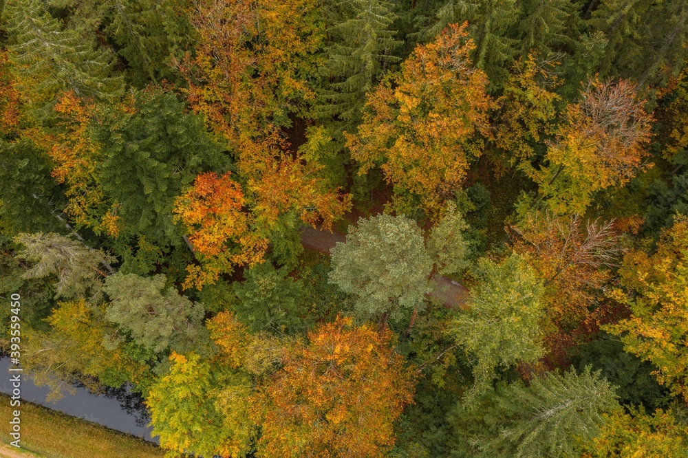 Bild einer Luftaufnahme von Bäumen eines Waldes von oben auf die Baumspitzen im bayerischen Wald, Deutschland Bild einer Luftaufnahme von Bäumen eines Waldes von oben auf die Baumspitzen im bayerischen Wald, Deutschland