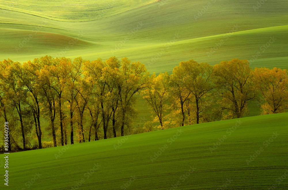 Zielone pola Morawy Południowe -Czeska Toskania Stock Photo | Adobe Stock
