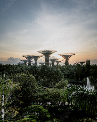 SINGAPORE, SINGAPORE - Nov 15, 2020: Sunrise at Gardens by the Bay