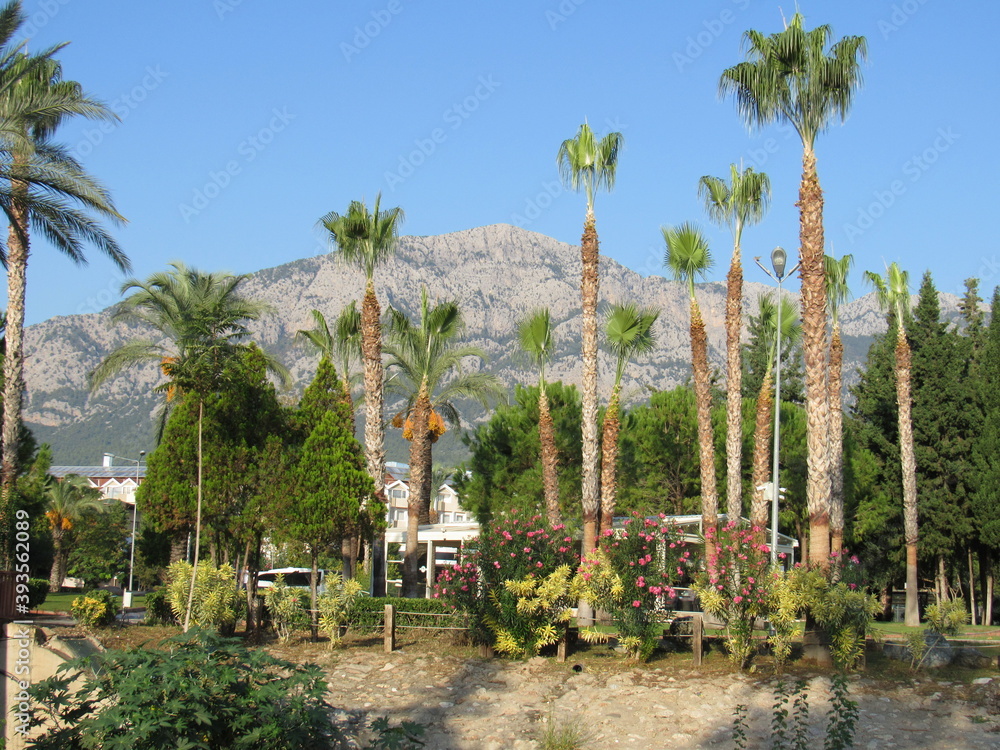 Fototapeta premium Mediterranean recreation resort park landscape