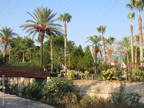 Mediterranean recreation resort park landscape