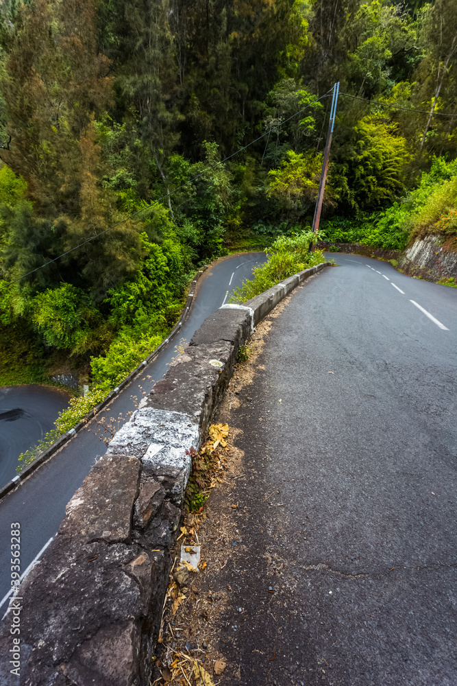 road in the forest, Cilaos, Reunion Island 