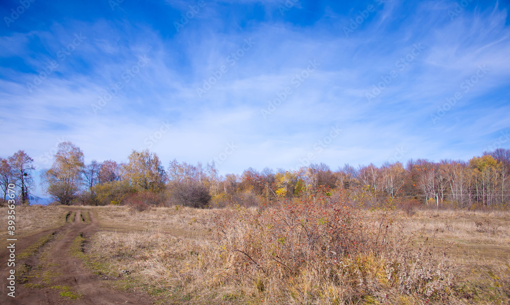Fototapeta premium Mountain day autumn, Caucasus