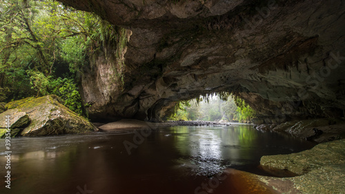 Moria Gate Arch in New Zealand. The ceiling is covered with stalactites and roots. The River cave is spacious and its floor covered in sand accumulated by the Oparara River. Kahurangi National Park.
