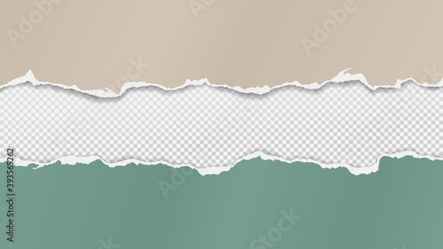 Torn of green and beige paper are on transparent, squared background for text, advertising or design. Vector illustration