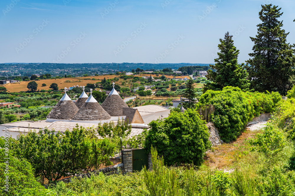 Olive trees and trulli of the Itria valley. Puglia Olive trees and trulli of the Itria valley. Puglia