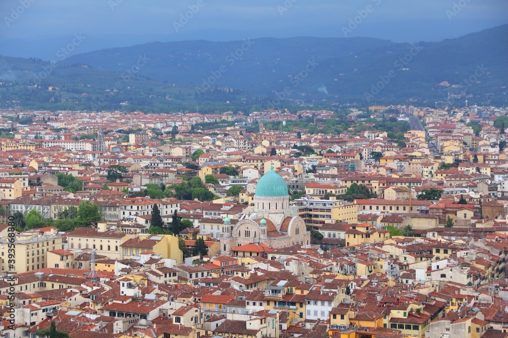 Obraz premium Florence Synagogue