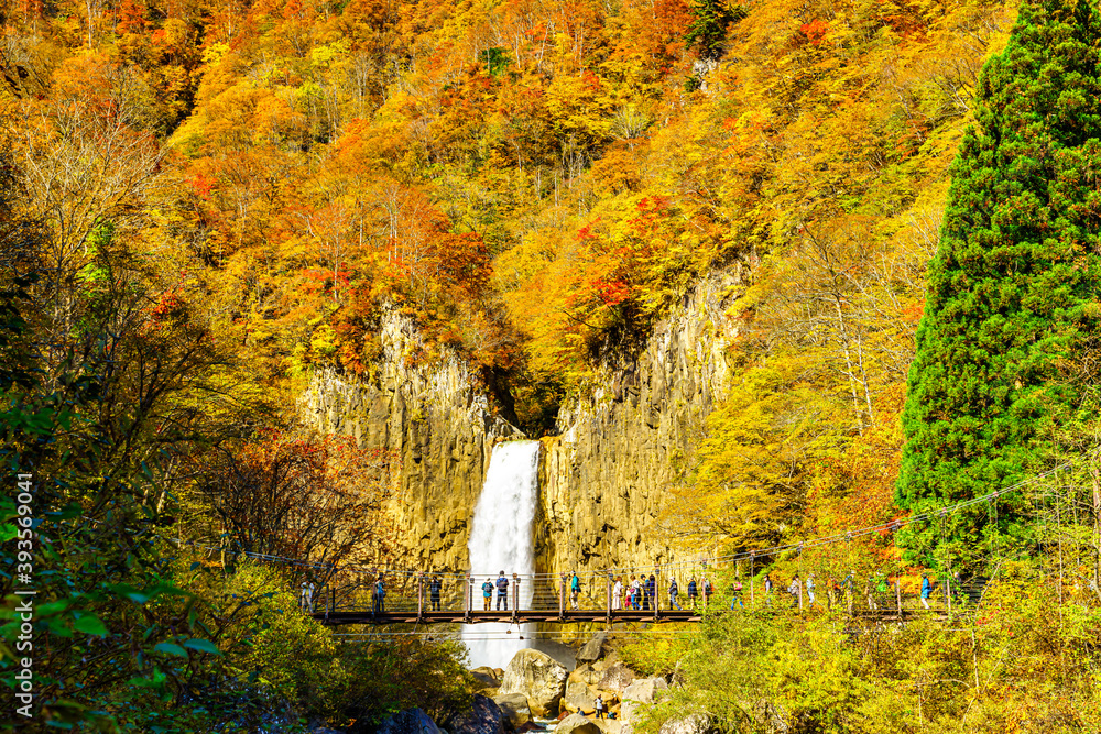 【新潟県 妙高】紅葉に囲まれた苗名滝