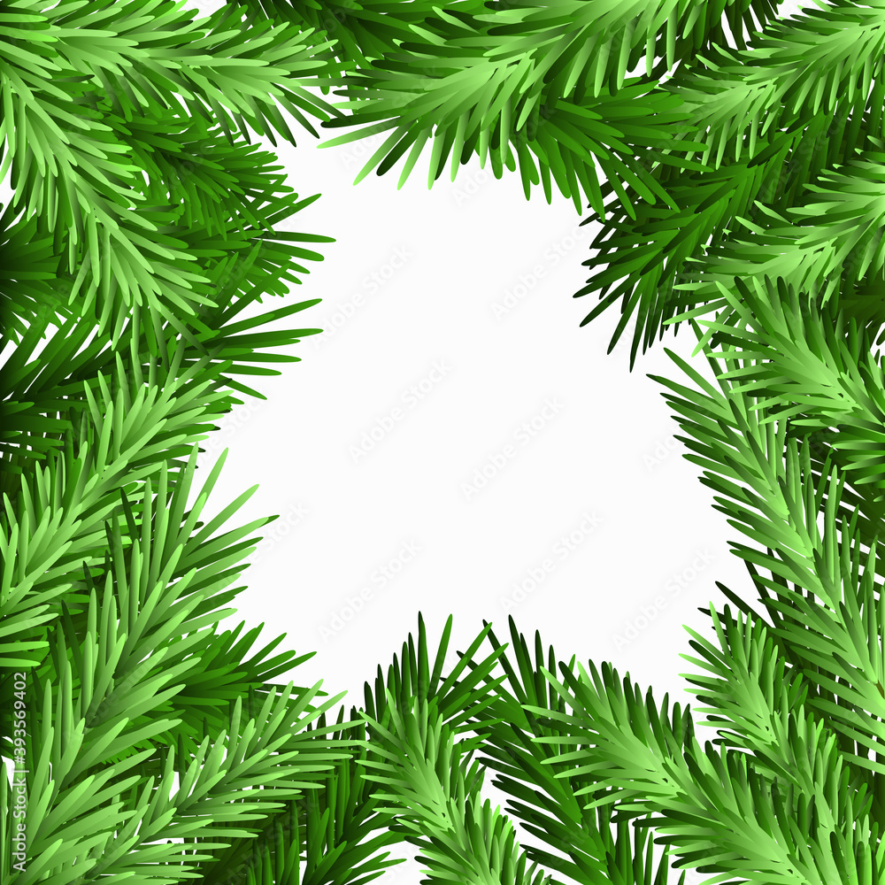Green branches of a Christmas tree on a white background