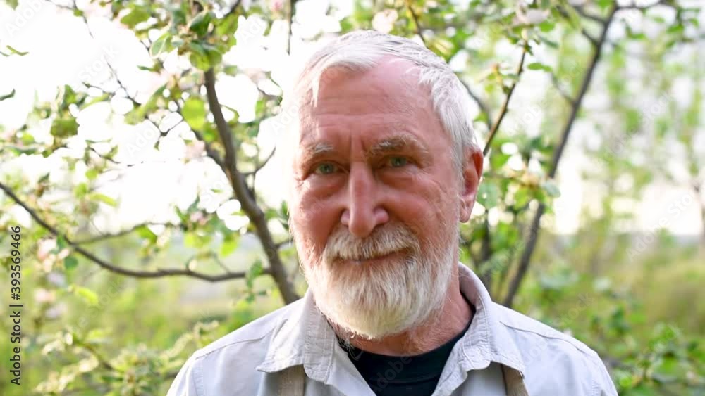 Old man with gray hair and beard in blooming garden Old man with gray hair and beard in blooming garden
