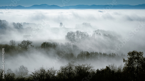 Nebelschwaden im Hügelland