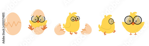 Cute chick hatching egg Cartoon vector set