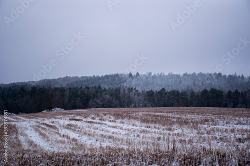 Wallpaper Mural Nature Torontodigital.ca