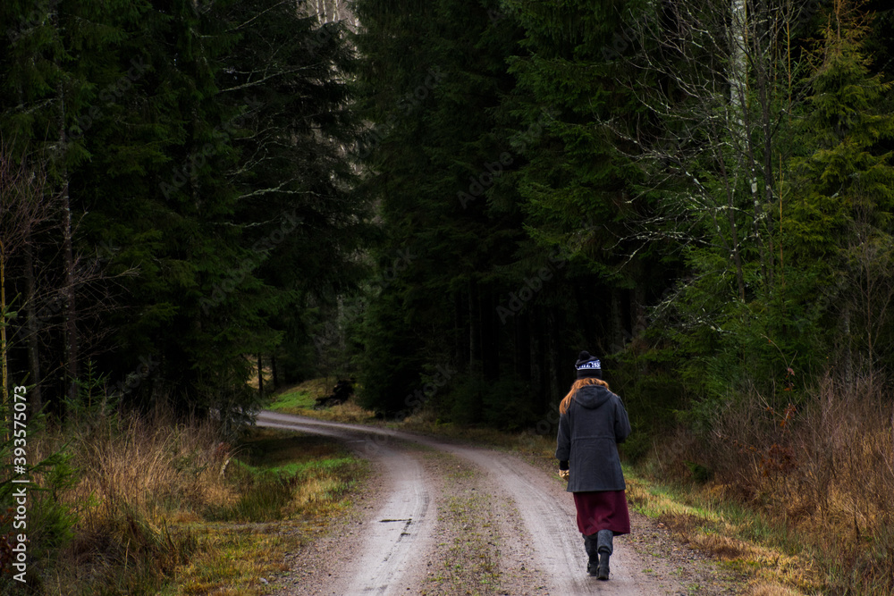 Fototapeta premium Nature