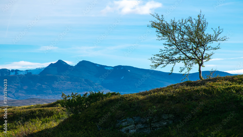 Obraz premium Nature