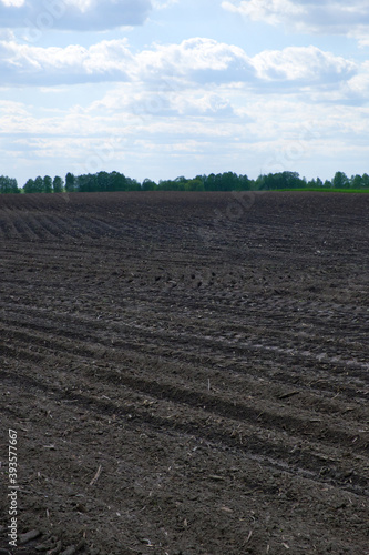 A plowed agricultural field. Beautiful clouds in the blue sky. Agricultural field, landscape.