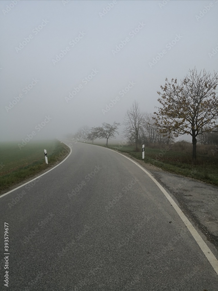 Fototapeta premium Straße im Nebel 