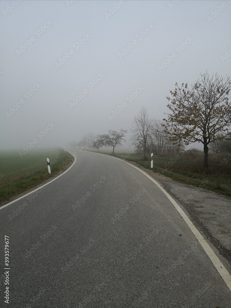 Straße im Nebel 