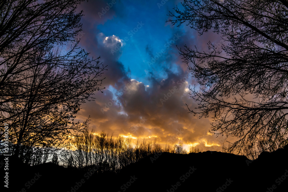Fototapeta premium Shocking sunset among dry trees. Leafless branches in the fall.