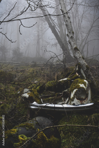 Car in the forest