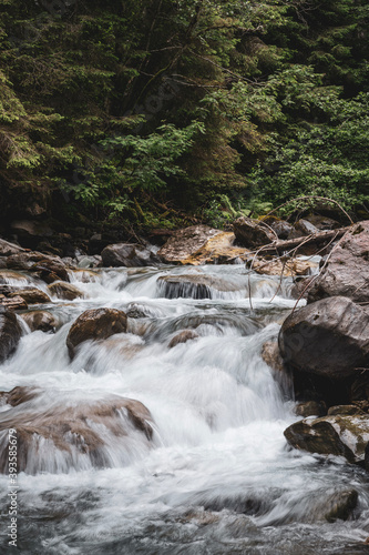 waterfall in the forest