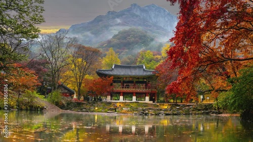 Time Lapse 4k Baekyangsa Temple in autumn, Naejangsan Park in korea. photo