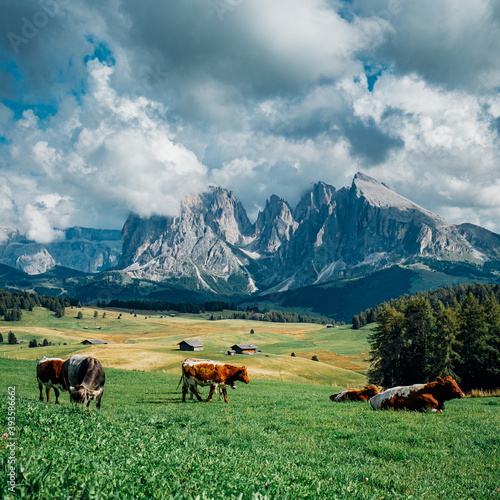 Alpe di Siusi