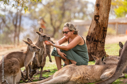 Canvas Print Photo of a woman interacting with Kangaroos in Tasmania