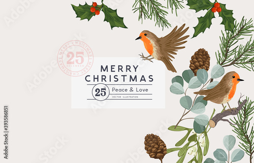 Winter christmas vintage layout design with robin birds and natural foliage including holly, pine, mistletoe and eucalyptus. Vector illustration.