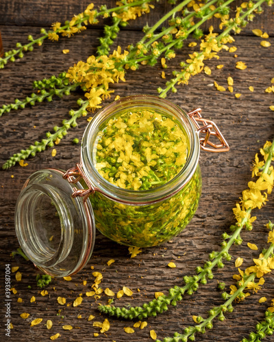 Fotografie Preparation of herbal tincture from fresh agrimony flowers