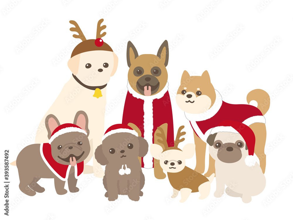 クリスマスコスチュームを着た犬達　背景白