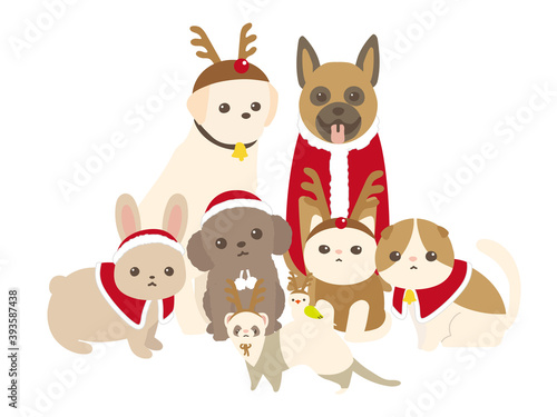 クリスマスコスチュームを着た犬と猫と小動物　背景白