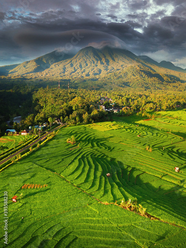 aerial view of rice fields with mountain range indonesia