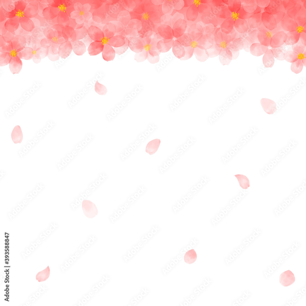 水彩画の桜イラスト　フレーム