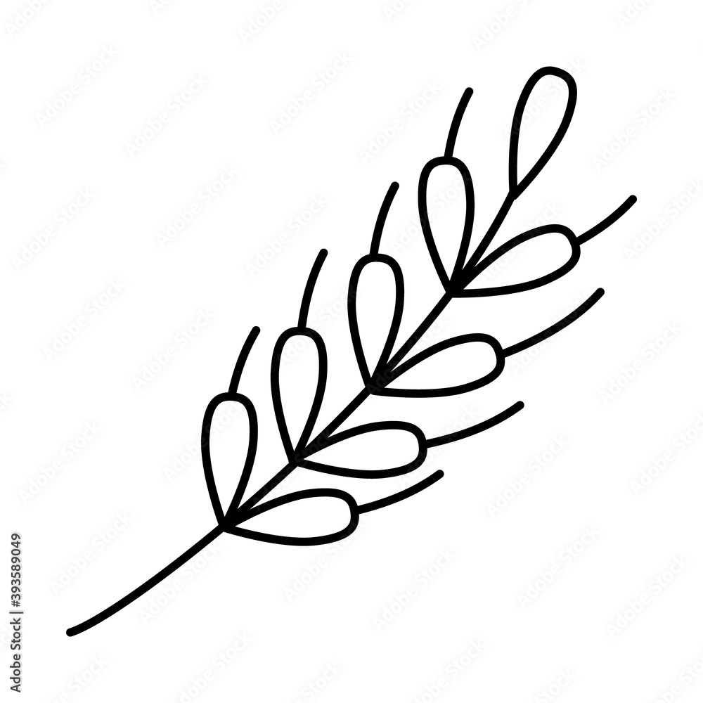 wheat leaves icon, line style wheat leaves icon, line style