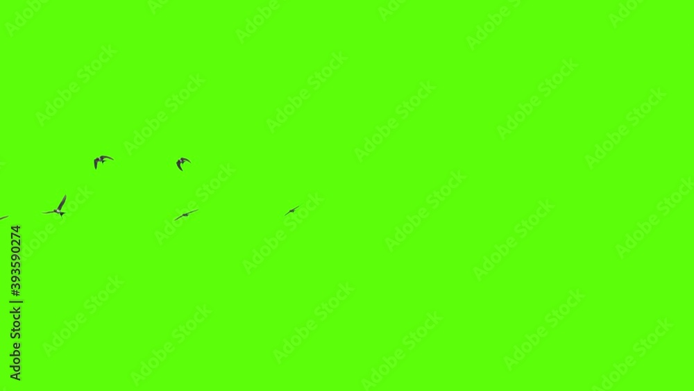 A flock of swallows flying freely, a group of birds made in 3D